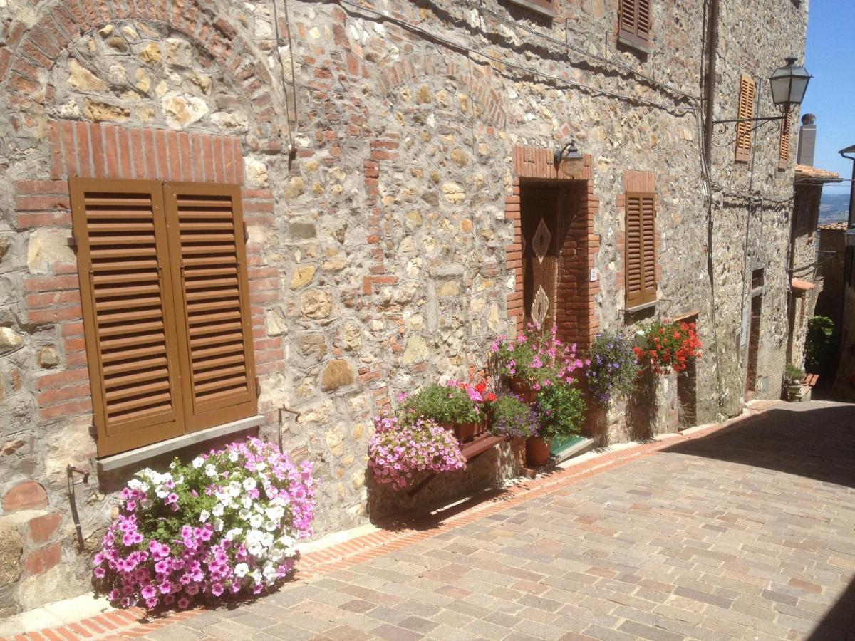 Appartement La Ginestra - Terrazza à Orciatico Extérieur photo